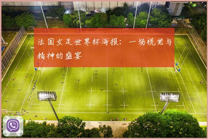 法国女足世界杯海报：一场视觉与精神的盛宴