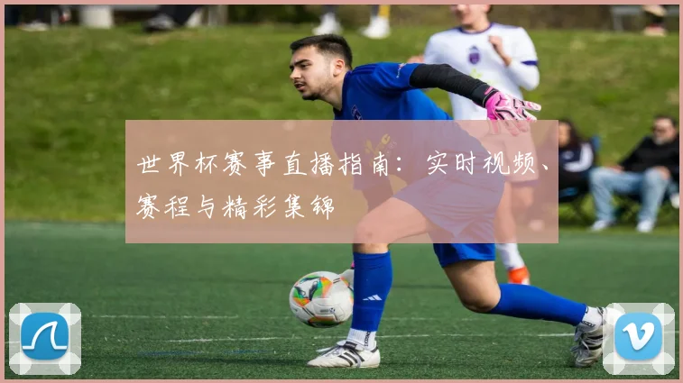 世界杯赛事直播指南:实时视频、赛程与精彩集锦