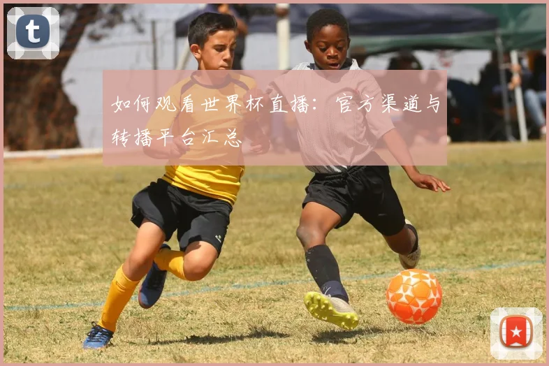 如何观看世界杯直播：官方渠道与转播平台汇总