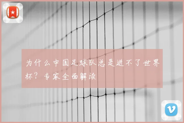 为什么中国足球队总是进不了世界杯？专家全面解读