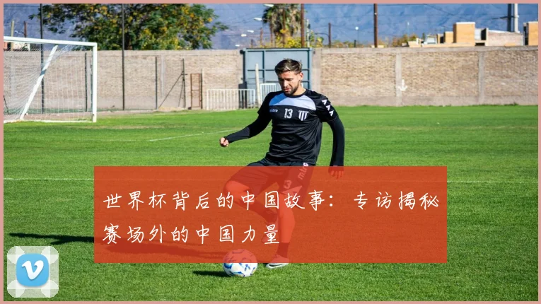世界杯背后的中国故事：专访揭秘赛场外的中国力量