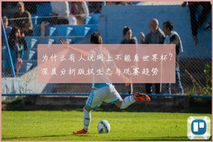 为什么有人说网上不能看世界杯？深度分析版权生态与观赛趋势